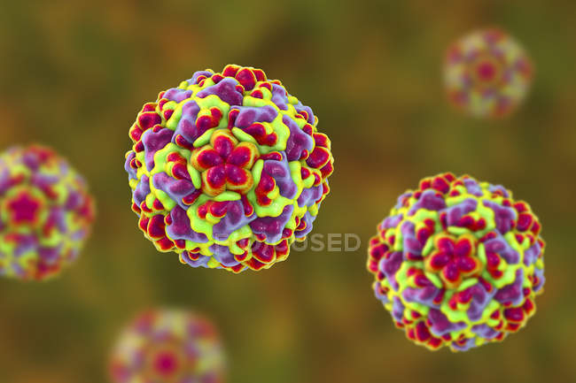 Particules de rhinovirus colorées, illustration numérique
. — Photo de stock