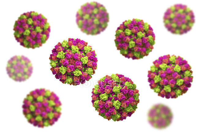 Partículas de norovírus coloridas, ilustração digital
. — Fotografia de Stock