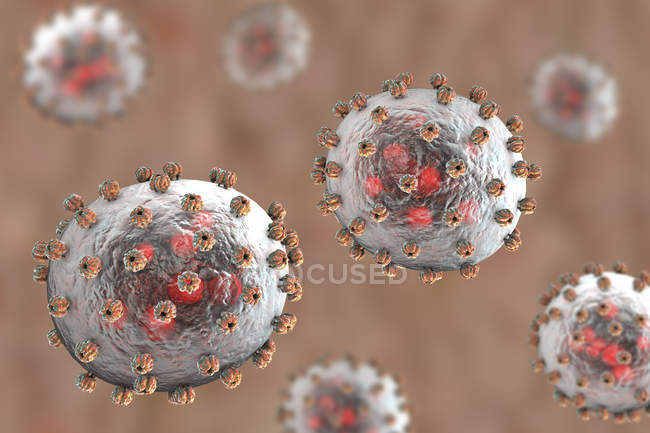 Lassa virus particles, digital illustration. — Stock Photo