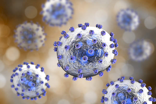 Partículas do vírus Lassa, ilustração digital
. — Fotografia de Stock