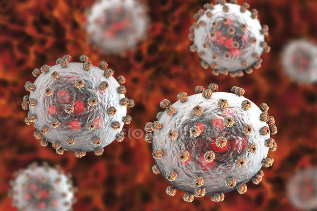 Partículas del virus Lassa, ilustración digital . - foto de stock
