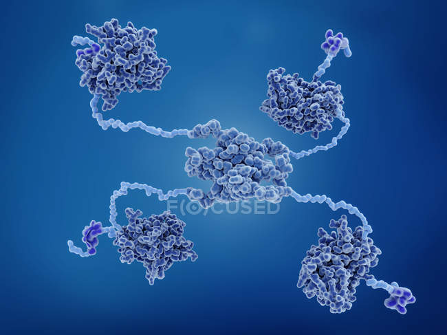 Modèle moléculaire de la protéine anticancéreuse p53
. — Photo de stock