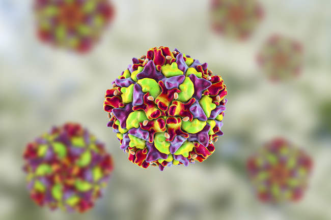 Ilustração digital da partícula colorida do vírus da pólio
. — Fotografia de Stock