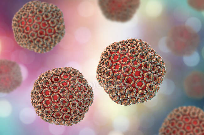 Partículas del virus de la fiebre del Valle del Rift, ilustración digital . - foto de stock