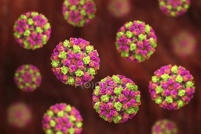 Partículas de norovirus coloreadas, ilustración digital . - foto de stock