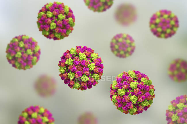 Particules de norovirus colorées, illustration numérique . — Photo de stock