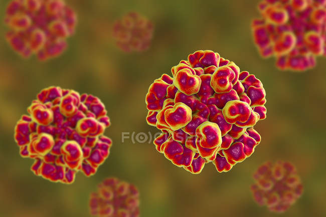 Hepatitis E virus red particles with protein coat. — Stock Photo