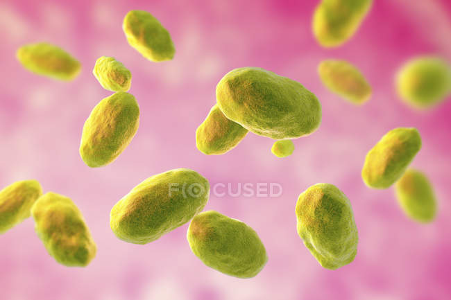 Obra digital de bacterias Yersinia enterocolitica en forma de varilla de colores . - foto de stock