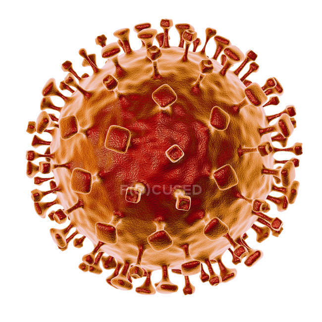 Partícula del virus Nipah, ilustraciones digitales . - foto de stock