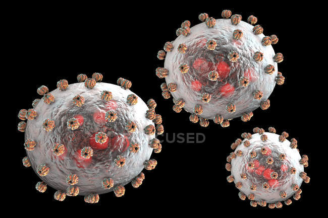 Partículas del virus Lassa, ilustración digital
. - foto de stock
