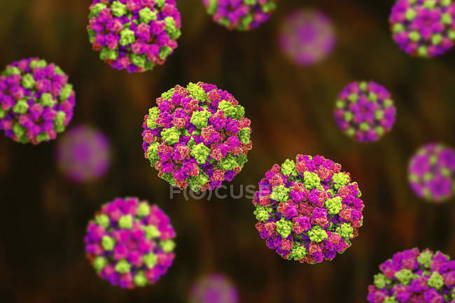 Кольорові частинки норовірусу, цифрова ілюстрація . — стокове фото