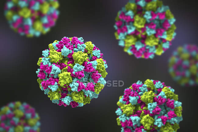 Colored norovirus particles, digital illustration. — Stock Photo