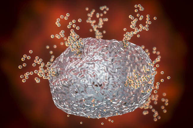 Щогла клітинку випускати гістаміну під час алергічна реакція, цифрова ілюстрація. — стокове фото