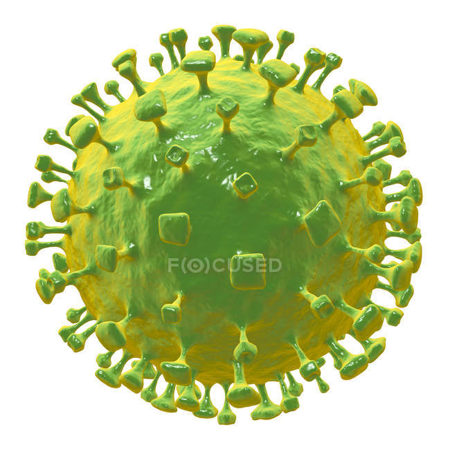 Partícula de vírus Nipah, arte digital
. — Fotografia de Stock