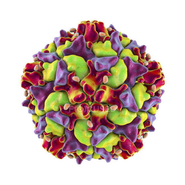 Цифровая иллюстрация цветной частицы вируса полиомиелита
. — стоковое фото