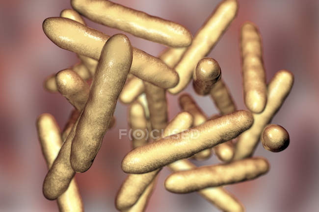Бактерії бактерії віпл Трофія віпплеї, цифрова ілюстрація . — стокове фото