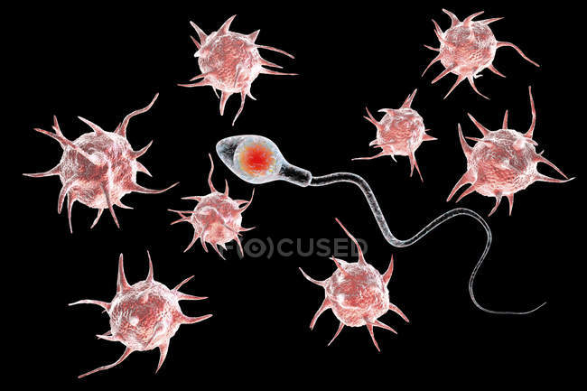 Parasites attacking sperm cell, conceptual illustration. — Stock Photo