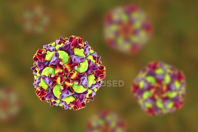 Illustration numérique de particules colorées du virus de la poliomyélite
. — Photo de stock
