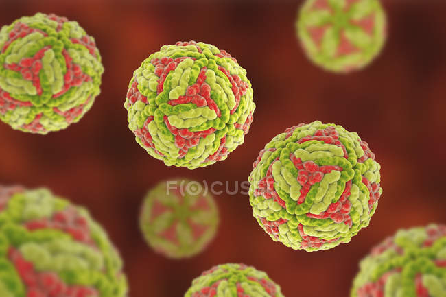 Japanese encephalitis virus particles, digital illustration. — Stock Photo