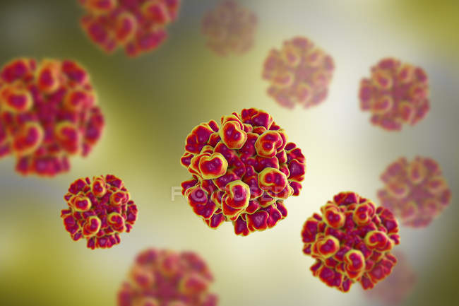 Partículas rojas del virus de la hepatitis E con capa de proteína
. - foto de stock