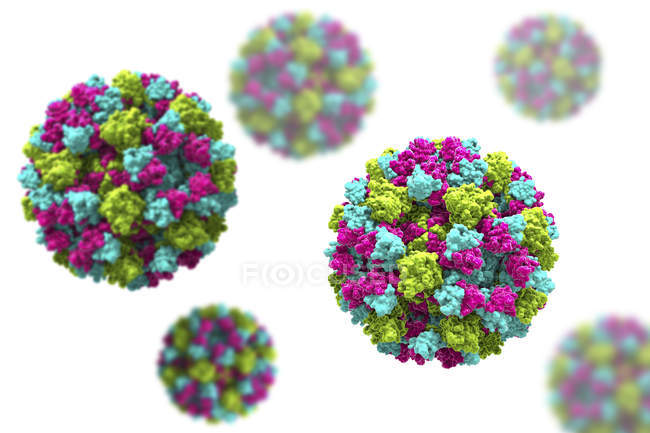 Кольорові частинки норовірусу, цифрова ілюстрація . — стокове фото
