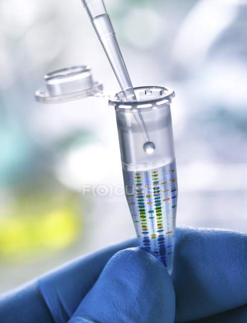 Resultado de la prueba de ADN en tubo de microcentrifugado con muestra de ADN en mano científica . - foto de stock