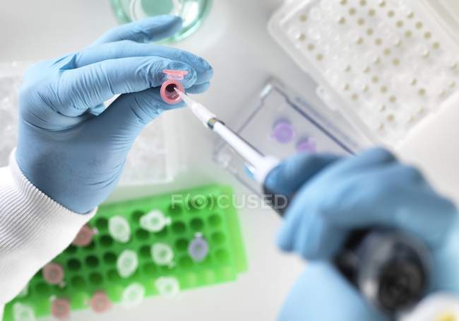 Wissenschaftler pipettiert Probe in Mikrozentrifugenröhre für chemische Analyse. — Stockfoto