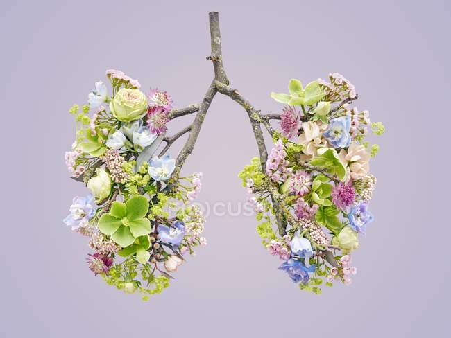 Flores de primavera que representan pulmones humanos sanos, plano conceptual del estudio . - foto de stock
