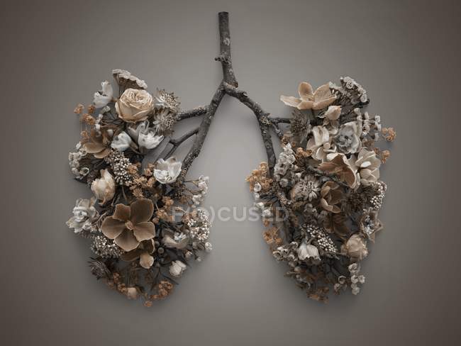 Flores de primavera que representan pulmones humanos poco saludables, plano de estudio conceptual
. - foto de stock