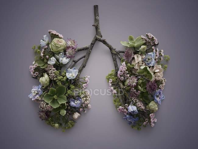 Fiori primaverili che rappresentano polmoni umani malsani, studio concettuale girato . — Foto stock