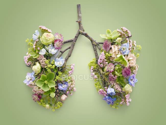 Frühlingsblumen, die gesunde menschliche Lungen repräsentieren, konzeptionelle Studioaufnahme. — Stockfoto