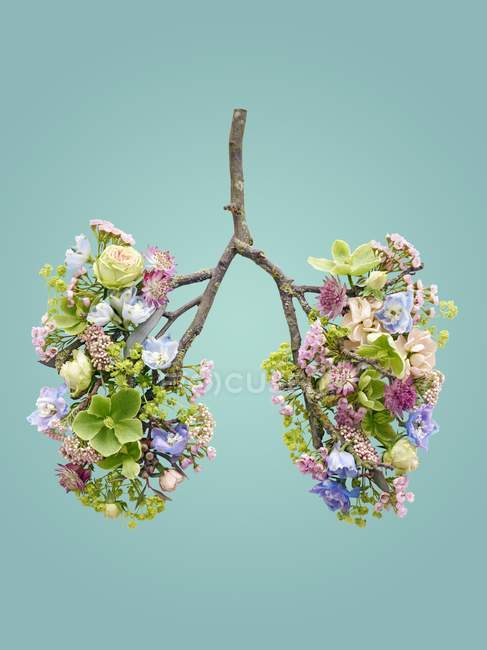 Frühlingsblumen, die gesunde menschliche Lungen repräsentieren, konzeptionelle Studioaufnahme. — Stockfoto