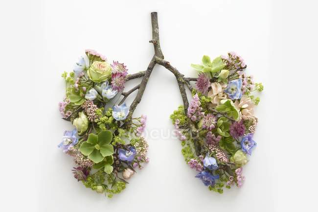 Fiori primaverili che rappresentano polmoni umani sani, studio concettuale girato . — Foto stock