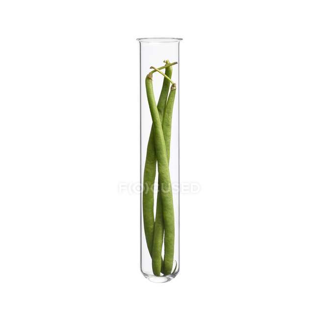 French beans in test tube, studio shot. — Stock Photo