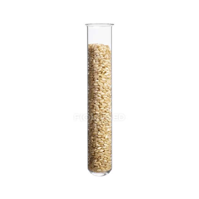 Rice in test tube, studio shot. — Stock Photo