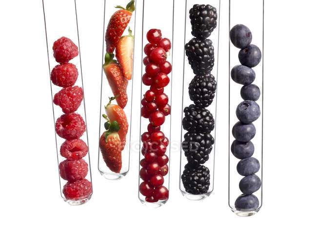 Various berries in test tubes, studio shot. — Stock Photo