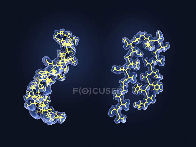 Alterações estruturais da proteína amiloide, modelos moleculares
. — Fotografia de Stock