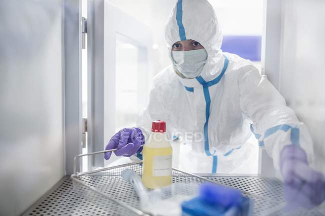 Tecnico che raccoglie attrezzature dal portello di trasferimento in laboratorio sterile . — Foto stock
