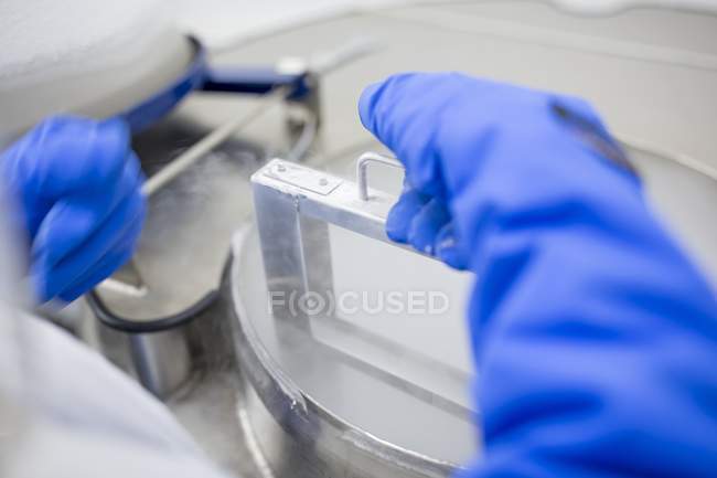 Nahaufnahme eines Technikers, der Stammzellenproben in Kryolagern lagert. — Stockfoto