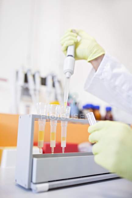 Technician pipetting samples into cartridges for solid phase extraction. — Stock Photo