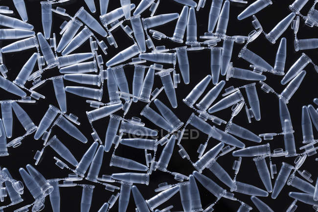 Порожні трубки PCR на чорному тлі . — стокове фото