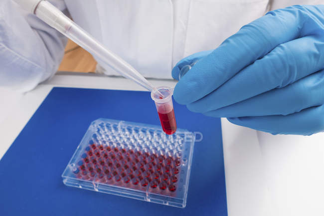 Cropped view of scientist pipetting samples into microcentrifuge tubes. — Stock Photo