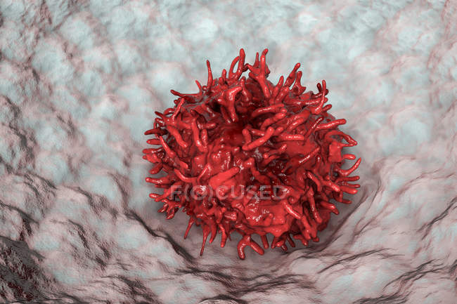 Macrófago del tejido alveolar, ilustración digital
. - foto de stock