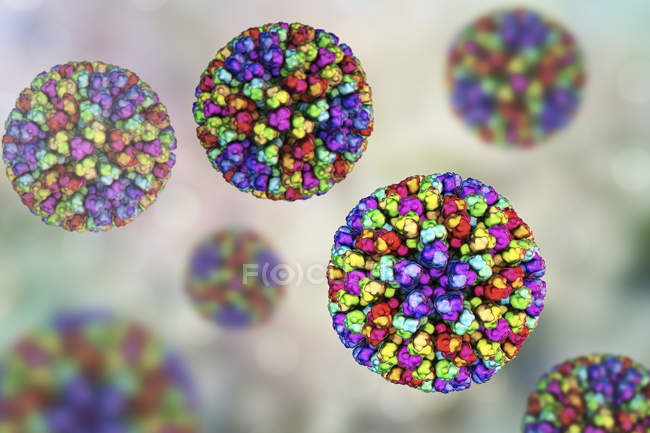 Illustration numérique des particules centrales du virus de la fièvre catarrhale du mouton avec des protéines représentées par des lobes colorés
. — Photo de stock