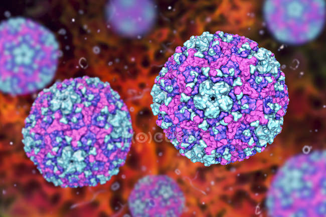 Partículas redondas de Coxsackievirus, ilustración digital
. - foto de stock