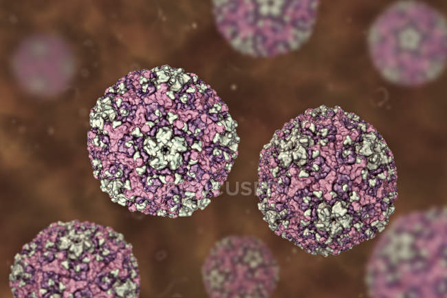 Круглий Coxsackievirus частинок, цифрова ілюстрація. — Stock Photo