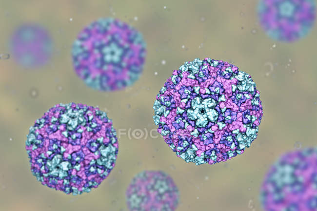 Круглые частицы Коксацкого вируса, цифровая иллюстрация . — стоковое фото