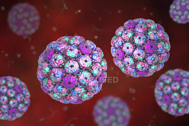 Ilustración digital de las cápsulas del virus del polioma BK . - foto de stock