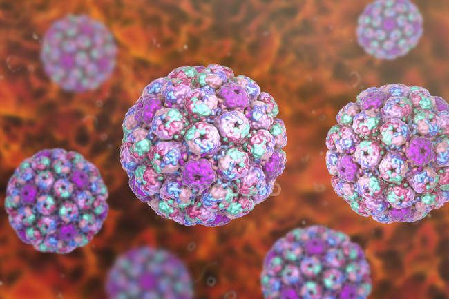 Digital illustration of capsids of polyoma BK virus. — Stock Photo