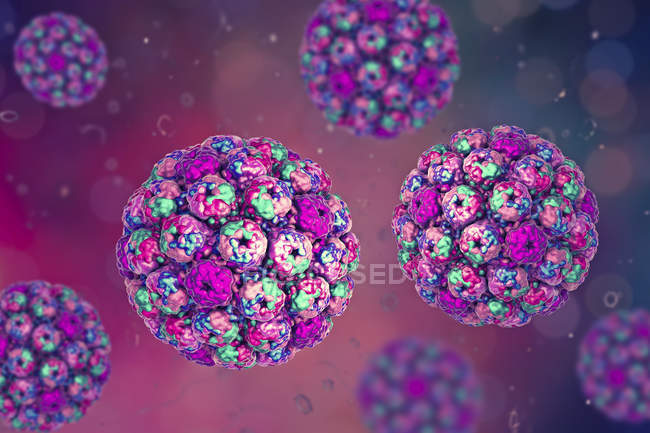 Цифровий ілюстрація capsids Поліоми Bk вірус. — стокове фото